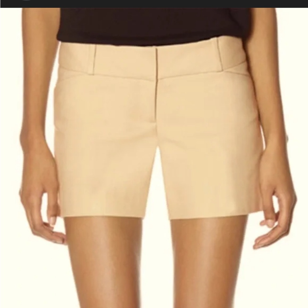 The Limited Shorts - light beige dressy casual shortie length